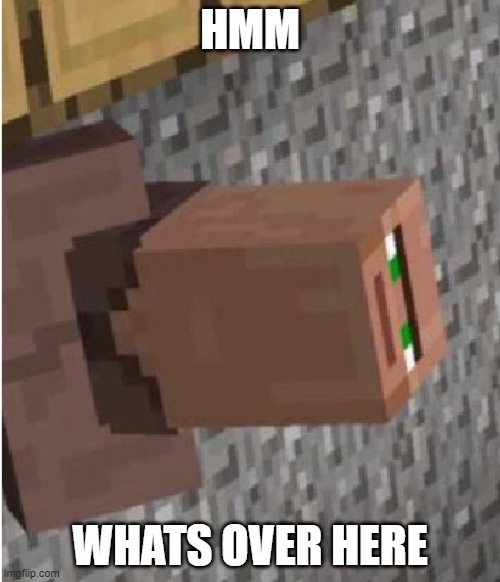 villaeger | HMM; WHATS OVER HERE | image tagged in minecraft villager looking up | made w/ Imgflip meme maker