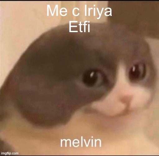 melvin | Me c lriya
Etfi | image tagged in melvin | made w/ Imgflip meme maker