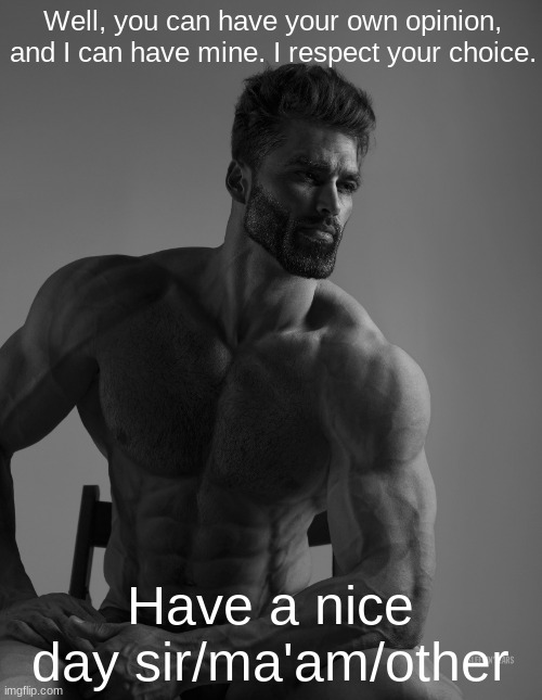 Giga Chad | Well, you can have your own opinion, and I can have mine. I respect your choice. Have a nice day sir/ma'am/other | image tagged in giga chad | made w/ Imgflip meme maker