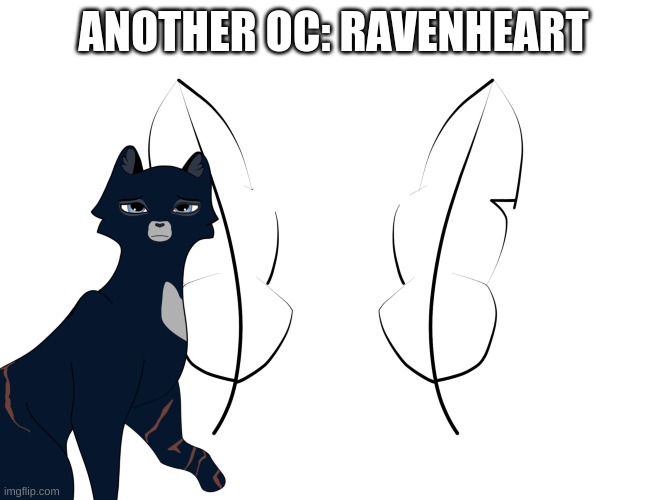 ANOTHER OC: RAVENHEART | made w/ Imgflip meme maker