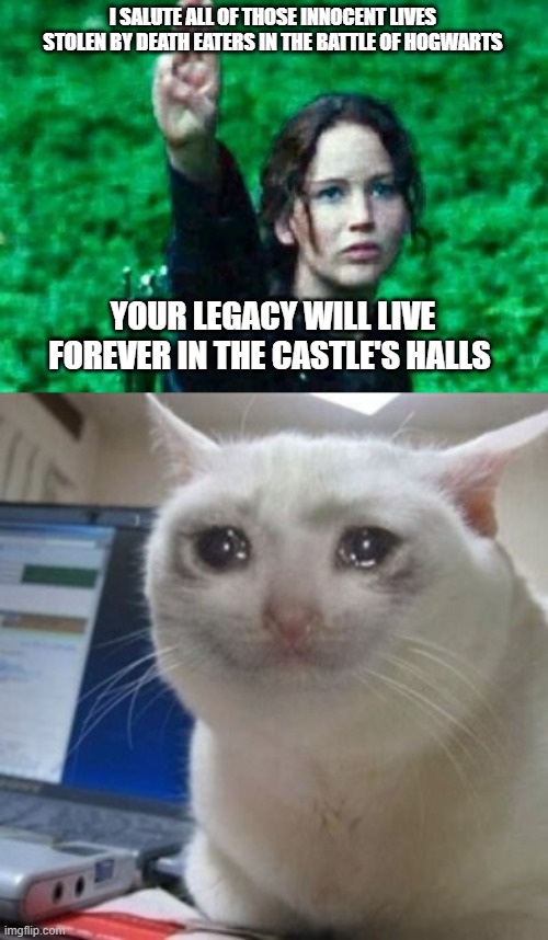 a moment of silence | I SALUTE ALL OF THOSE INNOCENT LIVES STOLEN BY DEATH EATERS IN THE BATTLE OF HOGWARTS; YOUR LEGACY WILL LIVE FOREVER IN THE CASTLE'S HALLS | image tagged in katniss salute,crying cat | made w/ Imgflip meme maker