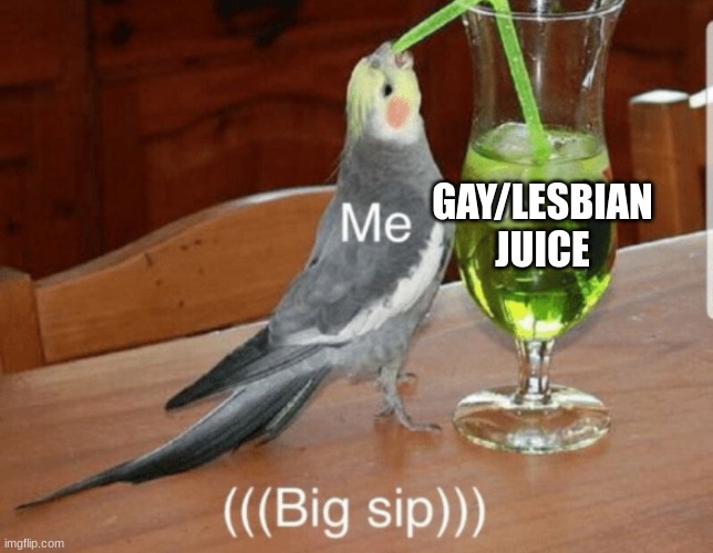 Unsee juice | GAY/LESBIAN
JUICE | image tagged in unsee juice | made w/ Imgflip meme maker