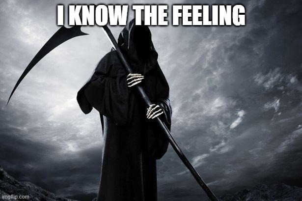 Death | I KNOW THE FEELING | image tagged in death | made w/ Imgflip meme maker
