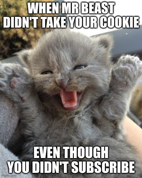 Little kids be like.... | WHEN MR BEAST DIDN'T TAKE YOUR COOKIE; EVEN THOUGH YOU DIDN'T SUBSCRIBE | image tagged in yay kitty,memes,mr beast,happy,cat,phew | made w/ Imgflip meme maker
