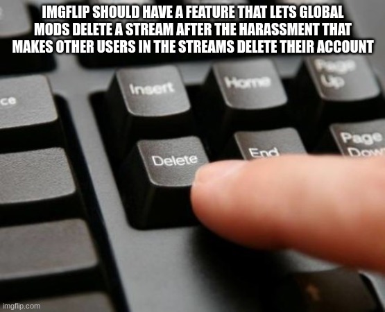 Delete | IMGFLIP SHOULD HAVE A FEATURE THAT LETS GLOBAL MODS DELETE A STREAM AFTER THE HARASSMENT THAT MAKES OTHER USERS IN THE STREAMS DELETE THEIR ACCOUNT | image tagged in delete | made w/ Imgflip meme maker