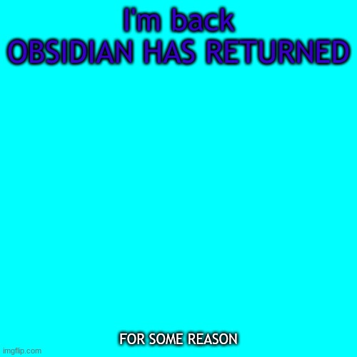 MERP  I'm back, after some time | I'm back
OBSIDIAN HAS RETURNED; FOR SOME REASON | image tagged in memes,blank transparent square | made w/ Imgflip meme maker