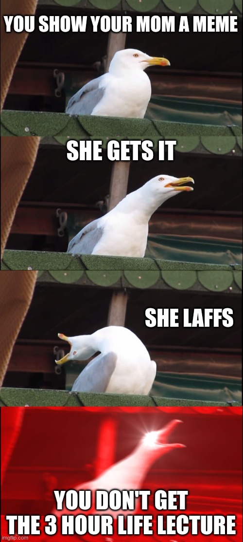Inhaling Seagull | YOU SHOW YOUR MOM A MEME; SHE GETS IT; SHE LAFFS; YOU DON'T GET THE 3 HOUR LIFE LECTURE | image tagged in memes,inhaling seagull | made w/ Imgflip meme maker