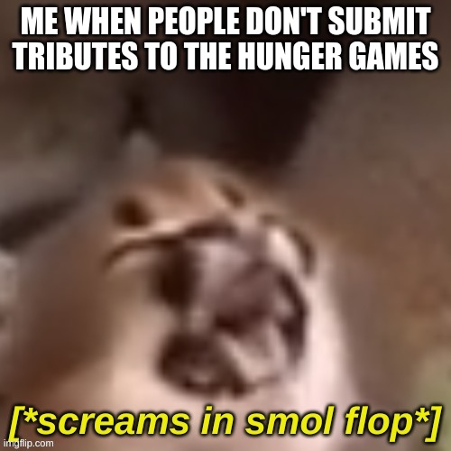 4 districts left | ME WHEN PEOPLE DON'T SUBMIT TRIBUTES TO THE HUNGER GAMES | image tagged in screams in smol flop | made w/ Imgflip meme maker