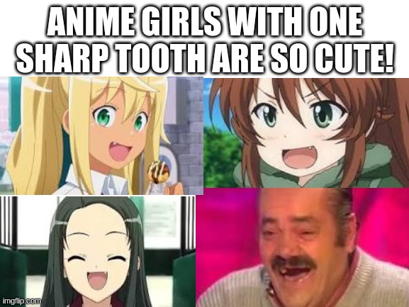 Blank White Template | ANIME GIRLS WITH ONE SHARP TOOTH ARE SO CUTE! | image tagged in blank white template | made w/ Imgflip meme maker