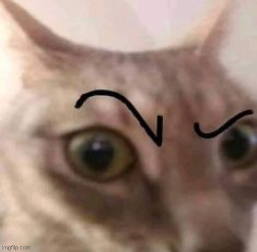 no, i’m not done shitposting shit off pinterest | made w/ Imgflip meme maker