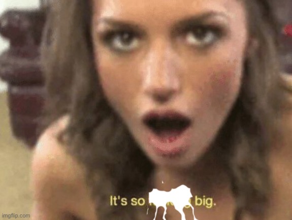 its so fucking big | image tagged in its so fucking big | made w/ Imgflip meme maker