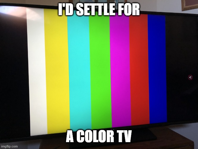 Tv Test screen | I'D SETTLE FOR A COLOR TV | image tagged in tv test screen | made w/ Imgflip meme maker