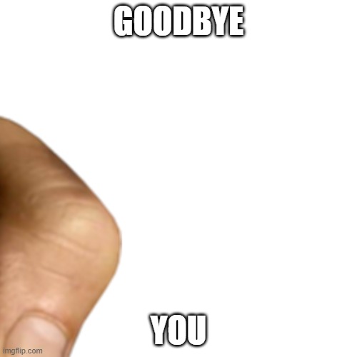 65RS | GOODBYE; YOU | image tagged in mad | made w/ Imgflip meme maker