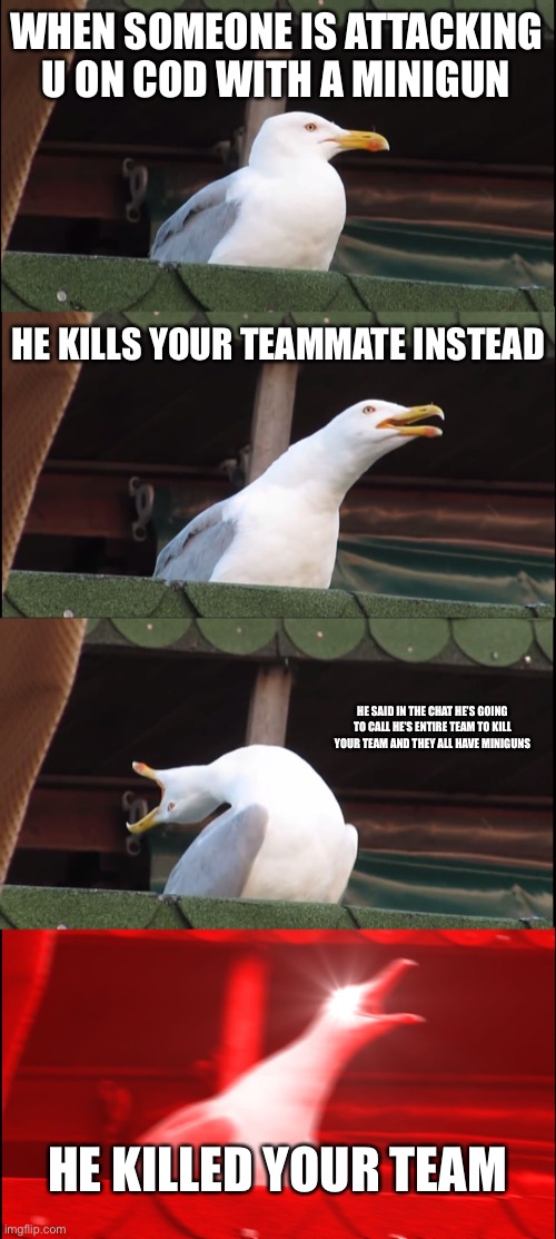 Inhaling Seagull Meme | WHEN SOMEONE IS ATTACKING U ON COD WITH A MINIGUN; HE KILLS YOUR TEAMMATE INSTEAD; HE SAID IN THE CHAT HE’S GOING TO CALL HE’S ENTIRE TEAM TO KILL YOUR TEAM AND THEY ALL HAVE MINIGUNS; HE KILLED YOUR TEAM | image tagged in memes,inhaling seagull | made w/ Imgflip meme maker