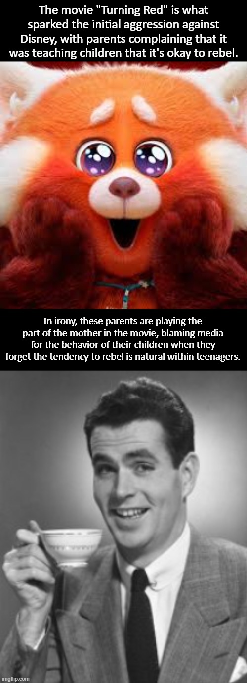 These parents in their actions represent the worst of parents; the same kind who blame video games for violence. | The movie "Turning Red" is what sparked the initial aggression against Disney, with parents complaining that it was teaching children that it's okay to rebel. In irony, these parents are playing the part of the mother in the movie, blaming media for the behavior of their children when they forget the tendency to rebel is natural within teenagers. | image tagged in red panda cute eyes,disney,karens,right wing,lgbtq | made w/ Imgflip meme maker