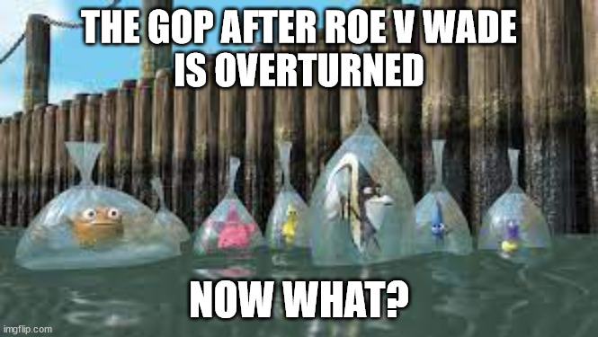 GOP Post Roe overturn - | THE GOP AFTER ROE V WADE
IS OVERTURNED; NOW WHAT? | made w/ Imgflip meme maker