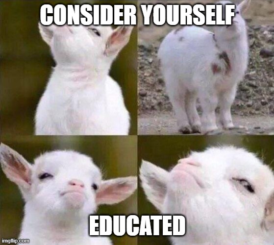 Smug Goat | CONSIDER YOURSELF; EDUCATED | image tagged in smug goat | made w/ Imgflip meme maker