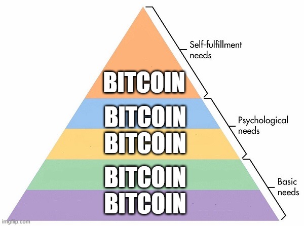 Less Cowbell More Bitcoin |  BITCOIN; BITCOIN
BITCOIN; BITCOIN
BITCOIN | image tagged in maslow's hierarchy of needs,bitcoin,crypto,finance | made w/ Imgflip meme maker
