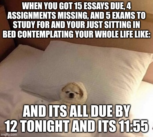 This has happened to much | WHEN YOU GOT 15 ESSAYS DUE, 4 ASSIGNMENTS MISSING, AND 5 EXAMS TO STUDY FOR AND YOUR JUST SITTING IN BED CONTEMPLATING YOUR WHOLE LIFE LIKE:; AND ITS ALL DUE BY 12 TONIGHT AND ITS 11:55 | image tagged in dog in bed sleeping | made w/ Imgflip meme maker