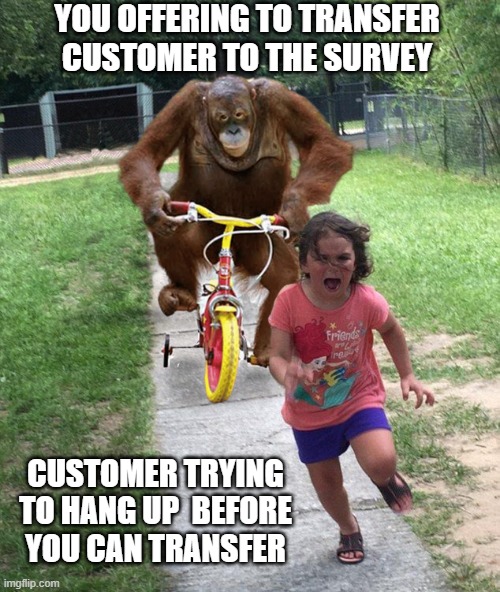 Bye Felicia Ain't nobody got time for the Survey. | YOU OFFERING TO TRANSFER CUSTOMER TO THE SURVEY; CUSTOMER TRYING TO HANG UP  BEFORE YOU CAN TRANSFER | image tagged in orangutan chasing girl on a tricycle,survey,my dissapointment is immeasurable and my day is ruined | made w/ Imgflip meme maker
