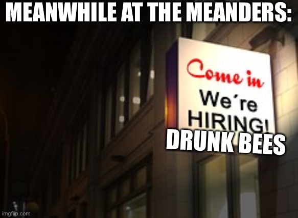 come in we're hiring | MEANWHILE AT THE MEANDERS:; DRUNK BEES | image tagged in come in we're hiring | made w/ Imgflip meme maker