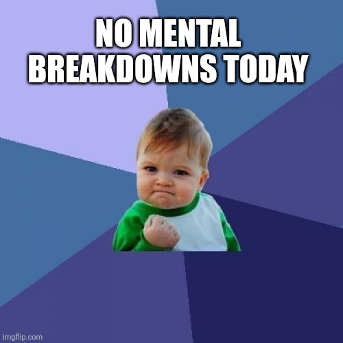 Jk | NO MENTAL BREAKDOWNS TODAY | image tagged in memes,success kid | made w/ Imgflip meme maker