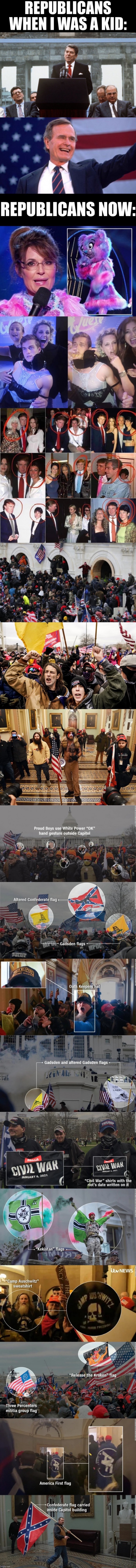 When they cross the border into our nation’s capital, the Republican Party’s not sending their best! | image tagged in republicans then vs republicans now,capitol hill riot groups insignia,gop,republicans,republican party,scumbag republicans | made w/ Imgflip meme maker