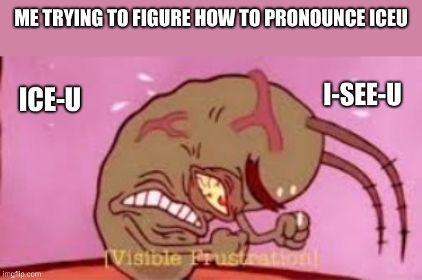 Iceu has to be everywhere in order to see this. |  ME TRYING TO FIGURE HOW TO PRONOUNCE ICEU; I-SEE-U; ICE-U | image tagged in visible frustration,memes | made w/ Imgflip meme maker