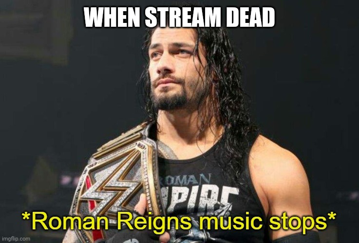 Roman Reigns Music Stops | WHEN STREAM DEAD | image tagged in roman reigns music stops | made w/ Imgflip meme maker