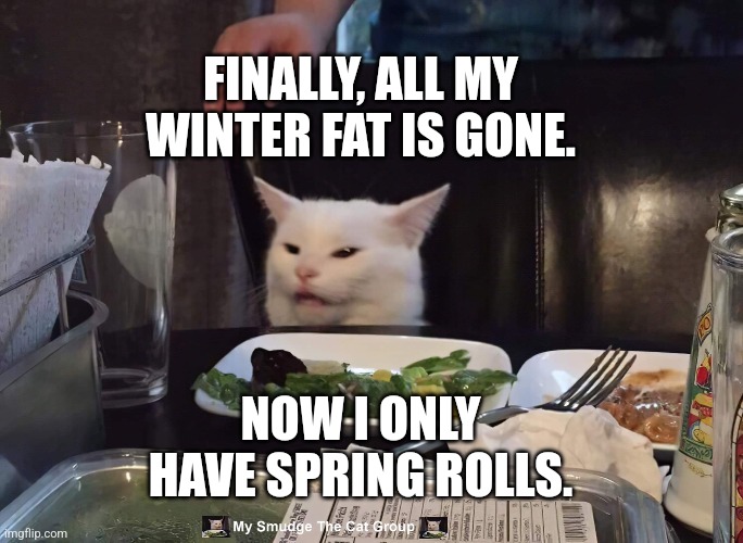 FINALLY, ALL MY WINTER FAT IS GONE. NOW I ONLY HAVE SPRING ROLLS. | image tagged in smudge the cat | made w/ Imgflip meme maker
