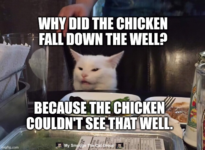 WHY DID THE CHICKEN FALL DOWN THE WELL? BECAUSE THE CHICKEN COULDN'T SEE THAT WELL. | image tagged in smudge the cat | made w/ Imgflip meme maker