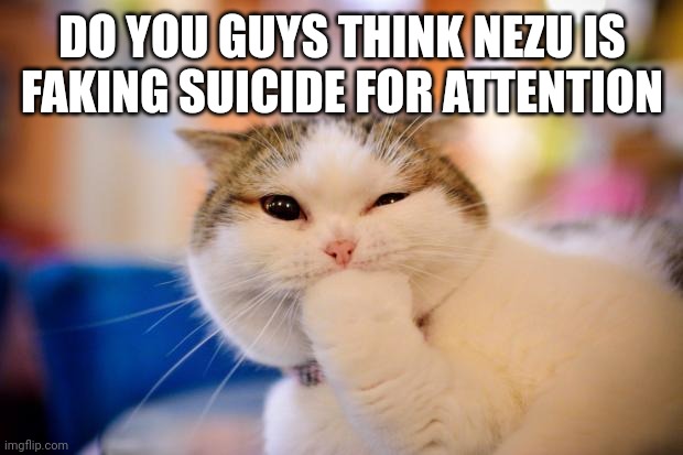 Dumb question, really. (Mod note: no I'm not) | DO YOU GUYS THINK NEZU IS FAKING SUICIDE FOR ATTENTION | image tagged in thinking cat | made w/ Imgflip meme maker