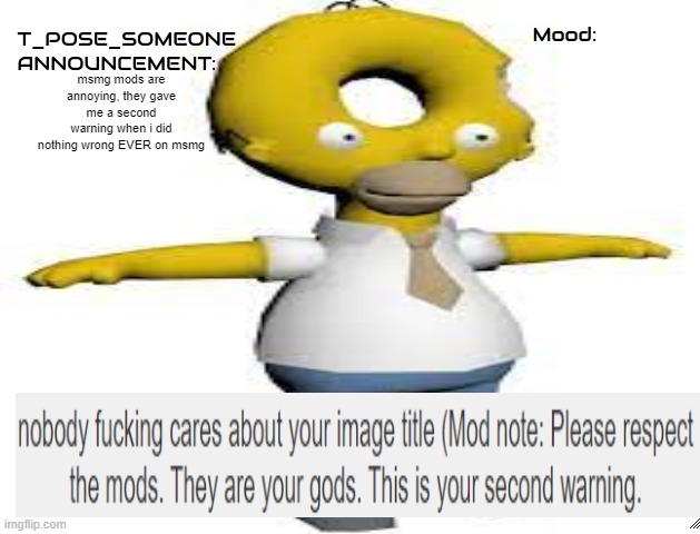 mods arent gods, stop abusing power, all you need to do is go take a shower (mod note: agreed) | msmg mods are annoying, they gave me a second warning when i did nothing wrong EVER on msmg | image tagged in t_pose_someone announcement | made w/ Imgflip meme maker