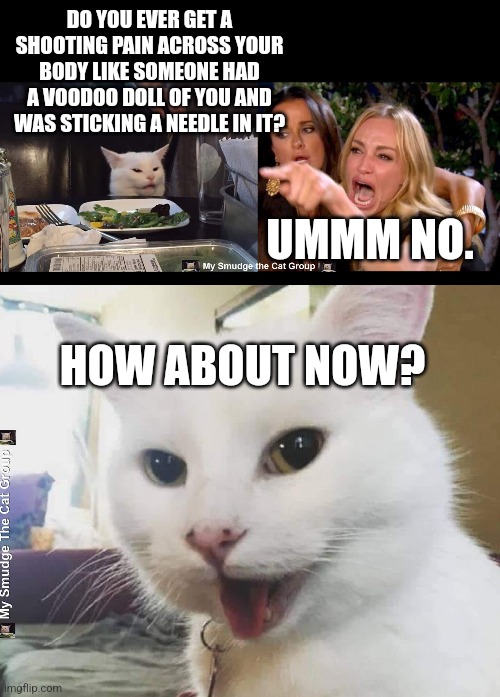 DO YOU EVER GET A SHOOTING PAIN ACROSS YOUR BODY LIKE SOMEONE HAD A VOODOO DOLL OF YOU AND WAS STICKING A NEEDLE IN IT? UMMM NO. HOW ABOUT NOW? | image tagged in smudge the cat,woman yelling at cat | made w/ Imgflip meme maker