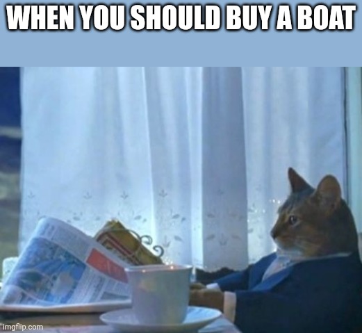 I Should Buy A Boat Cat Meme | WHEN YOU SHOULD BUY A BOAT | image tagged in memes,i should buy a boat cat | made w/ Imgflip meme maker