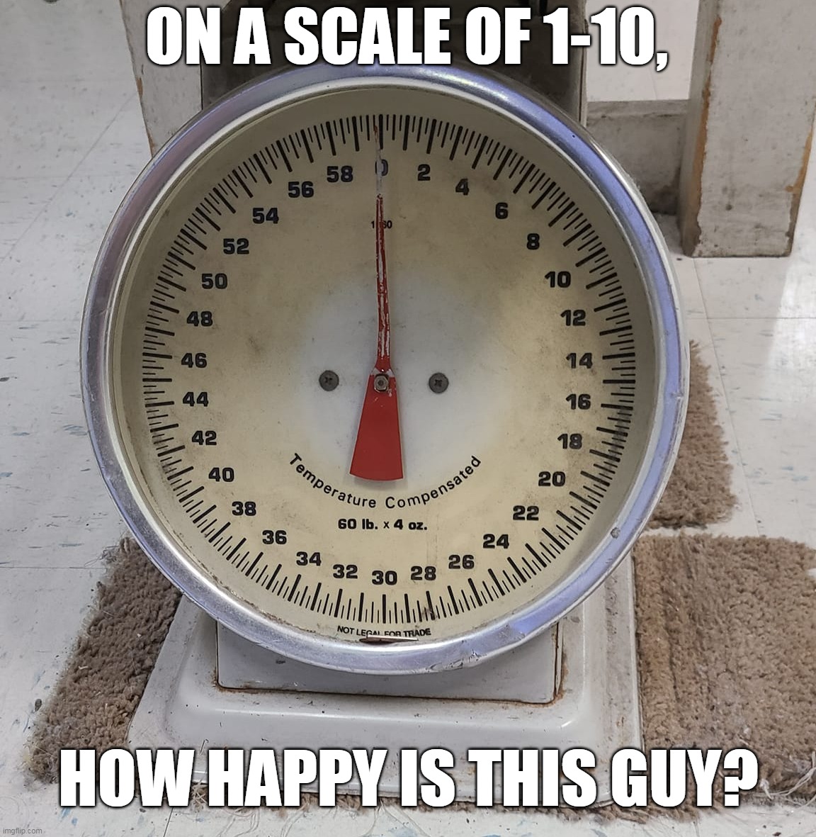 ON A SCALE OF 1-10, HOW HAPPY IS THIS GUY? | image tagged in meme,memes,humor,puns | made w/ Imgflip meme maker