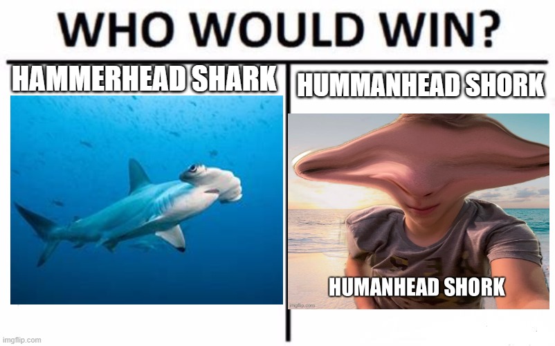 Who Would Win? Meme | HAMMERHEAD SHARK; HUMMANHEAD SHORK | image tagged in memes,who would win | made w/ Imgflip meme maker