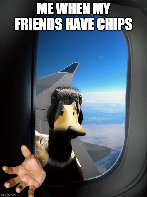 chips duh | ME WHEN MY FRIENDS HAVE CHIPS | image tagged in duck plane window,potato chips,lays chips,duck,give me chips,food | made w/ Imgflip meme maker