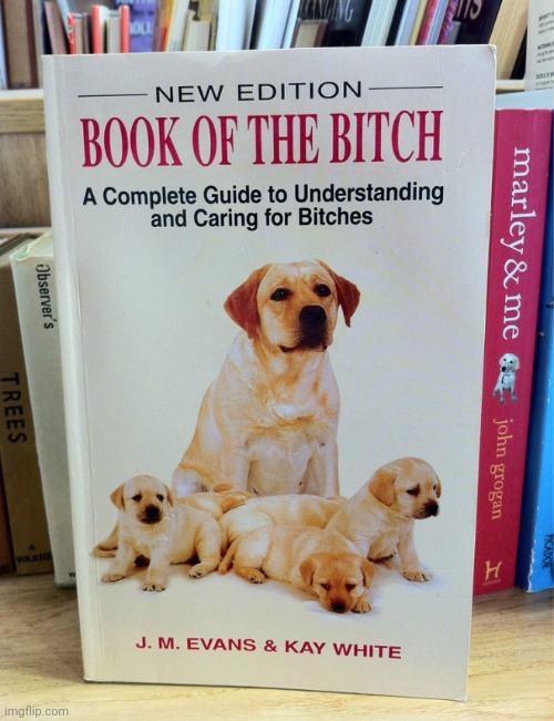 image tagged in dark humor,dogs,funny dogs,books,bitch,lol | made w/ Imgflip meme maker