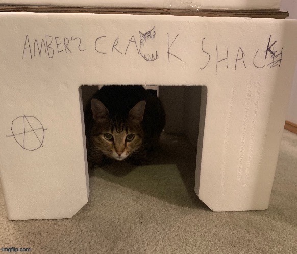 Ambers Crack Shack | image tagged in ambers crack shack | made w/ Imgflip meme maker