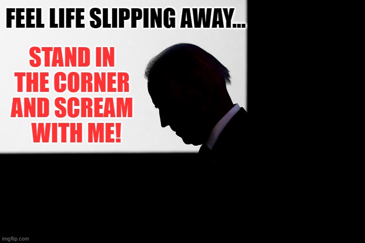Poor Joe | STAND IN THE CORNER AND SCREAM   WITH ME! FEEL LIFE SLIPPING AWAY... | image tagged in memes,politics,joe biden,scream,with me,mudvayne | made w/ Imgflip meme maker