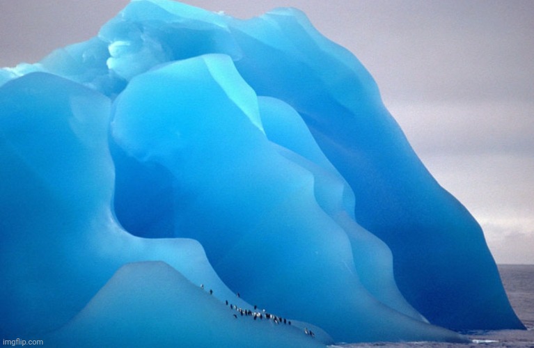 Penguins on iceberg | image tagged in photography,penguins,iceberg,blue,cool | made w/ Imgflip meme maker