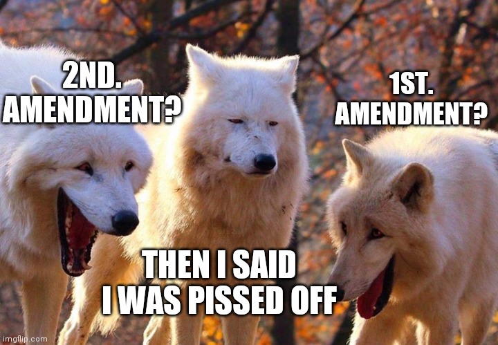 I wear my sunglasses at night | 2ND. AMENDMENT? 1ST. AMENDMENT? THEN I SAID I WAS PISSED OFF | image tagged in laughing dogs with pissed dog,nuclear war,sunshine,bleach,you can't see me | made w/ Imgflip meme maker