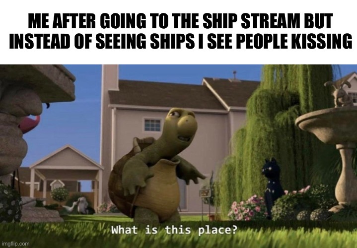 What is this place |  ME AFTER GOING TO THE SHIP STREAM BUT INSTEAD OF SEEING SHIPS I SEE PEOPLE KISSING | image tagged in what is this place,ships | made w/ Imgflip meme maker