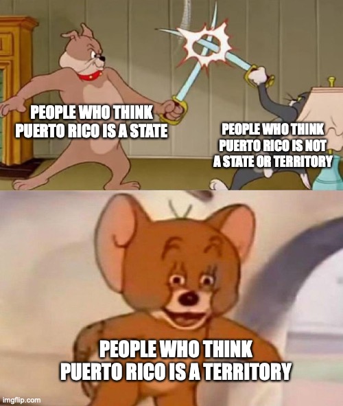 Tom and Jerry swordfight | PEOPLE WHO THINK PUERTO RICO IS A STATE PEOPLE WHO THINK PUERTO RICO IS NOT A STATE OR TERRITORY PEOPLE WHO THINK PUERTO RICO IS A TERRITORY | image tagged in tom and jerry swordfight | made w/ Imgflip meme maker