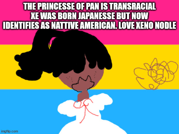 PANSEXUAL MEMES | THE PRINCESSE OF PAN IS TRANSRACIAL XE WAS BORN JAPANESSE BUT NOW IDENTIFIES AS NATTIVE AMERICAN. LOVE XENO NODLE | image tagged in lgbtq stream account profile | made w/ Imgflip meme maker