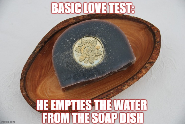 Basic Love Test | BASIC LOVE TEST:; HE EMPTIES THE WATER 
FROM THE SOAP DISH | image tagged in love you | made w/ Imgflip meme maker