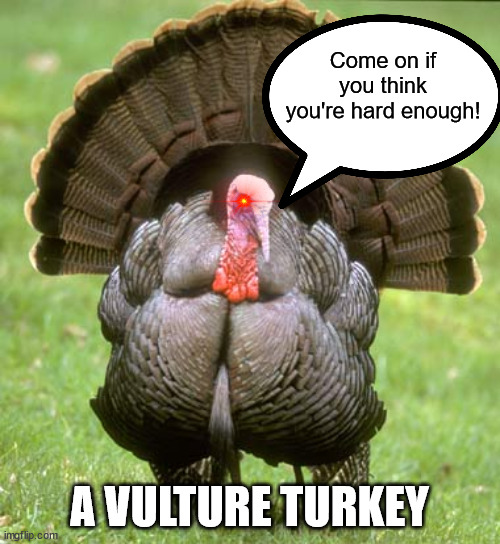 Turkey Meme | Come on if you think you're hard enough! A VULTURE TURKEY | image tagged in memes,turkey | made w/ Imgflip meme maker