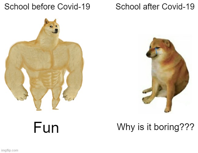 Buff Doge vs. Cheems | School before Covid-19; School after Covid-19; Fun; Why is it boring??? | image tagged in memes,buff doge vs cheems | made w/ Imgflip meme maker