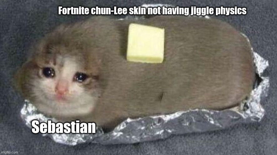 Dissapointment :( | Fortnite chun-Lee skin not having jiggle physics; Sebastian | image tagged in sad cat | made w/ Imgflip meme maker